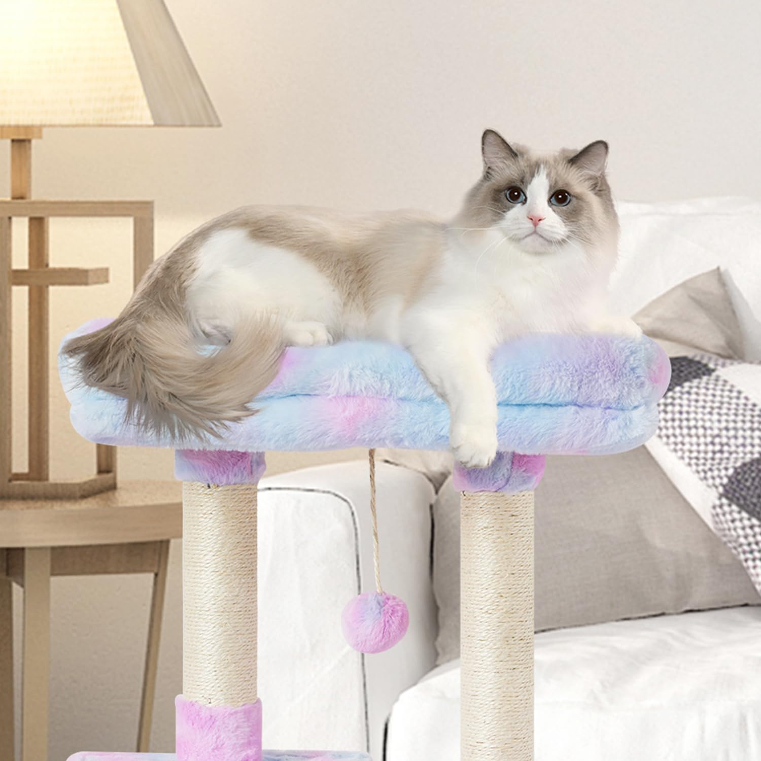 FISH&NAP rainbow condo platform provides cozy vantage points for kittens.