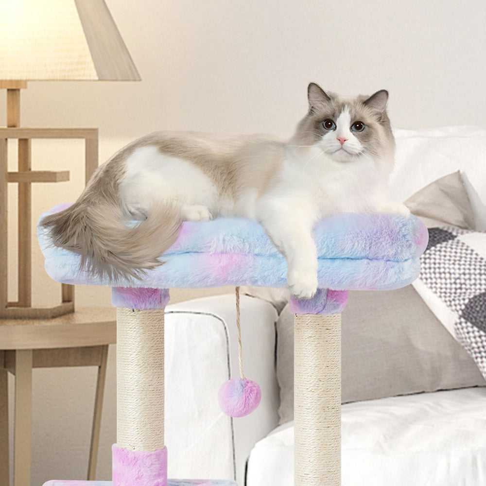 FISH&NAP rainbow condo platform provides cozy vantage points for kittens.