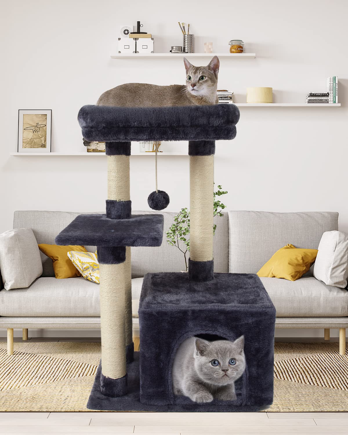 FISH&NAP cat condo offers a cozy hideaway for kittens.