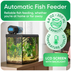 FISHNOSH feeder with digital thermometer display for temperature visibility and control
