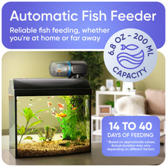 Fishnosh programmable feeding schedule demonstrates up to three daily feedings