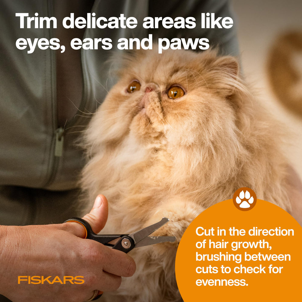 Fiskars scissors crafted in stainless steel deliver durable performance.