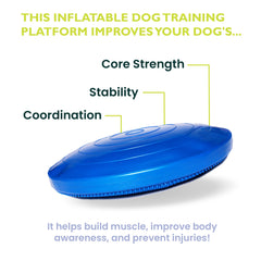FitPAWS Balance Disc 22-inch blue dog-on-disc ready for proprioception and core work.