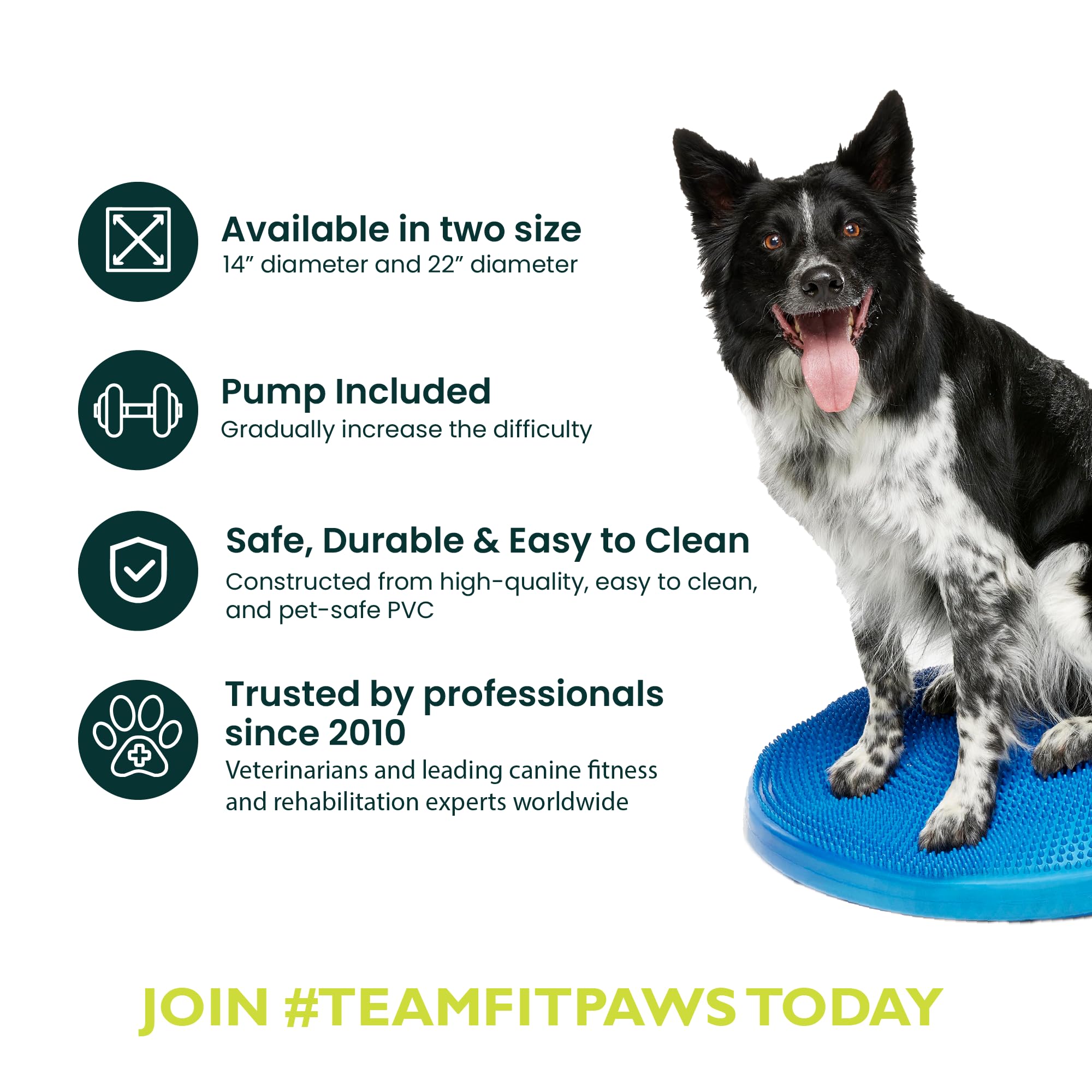 FitPAWS Balance Disc 22-inch blue durable PVC construction for long-lasting training.