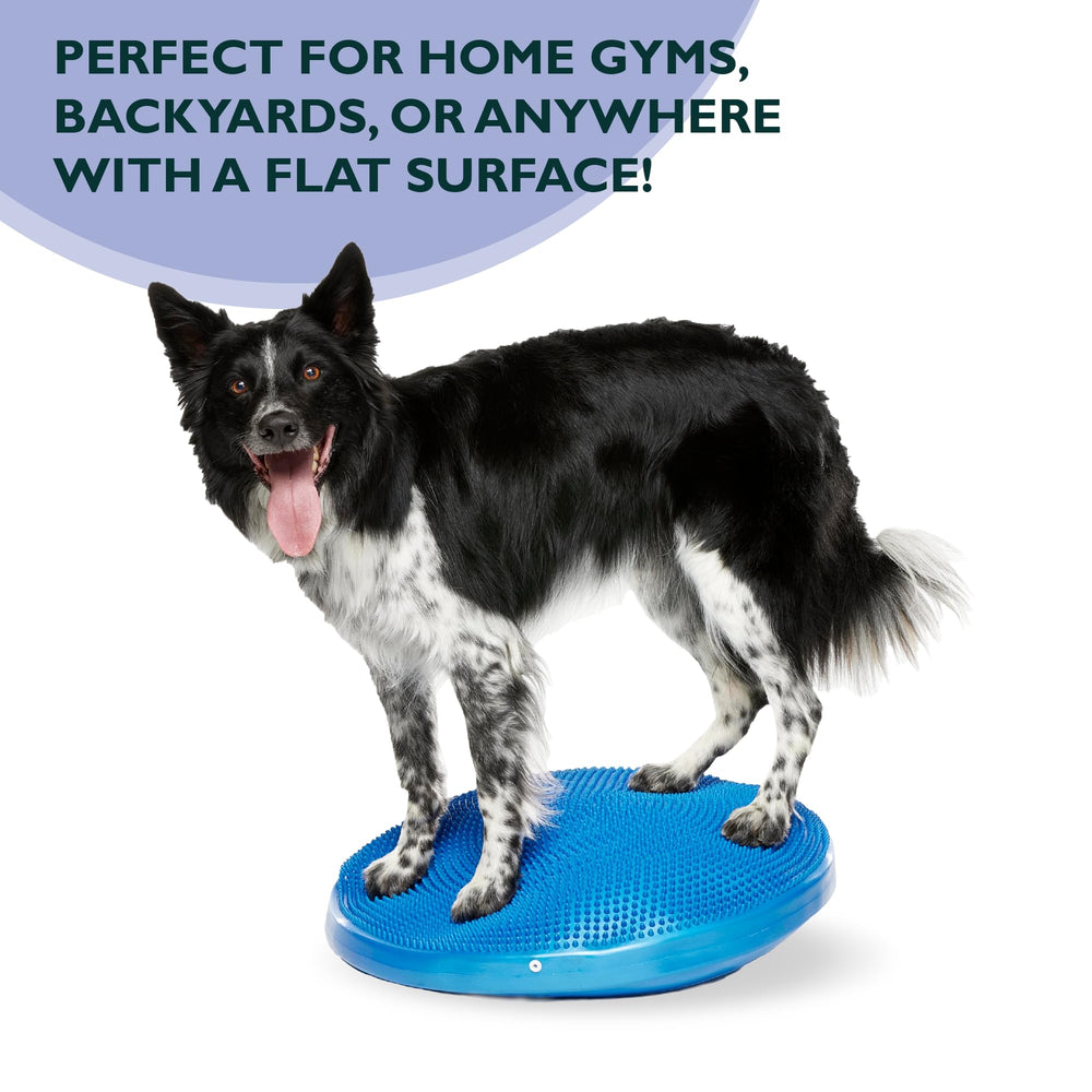 FitPAWS Balance Disc 22-inch blue outdoor-use session on grass or pavement.