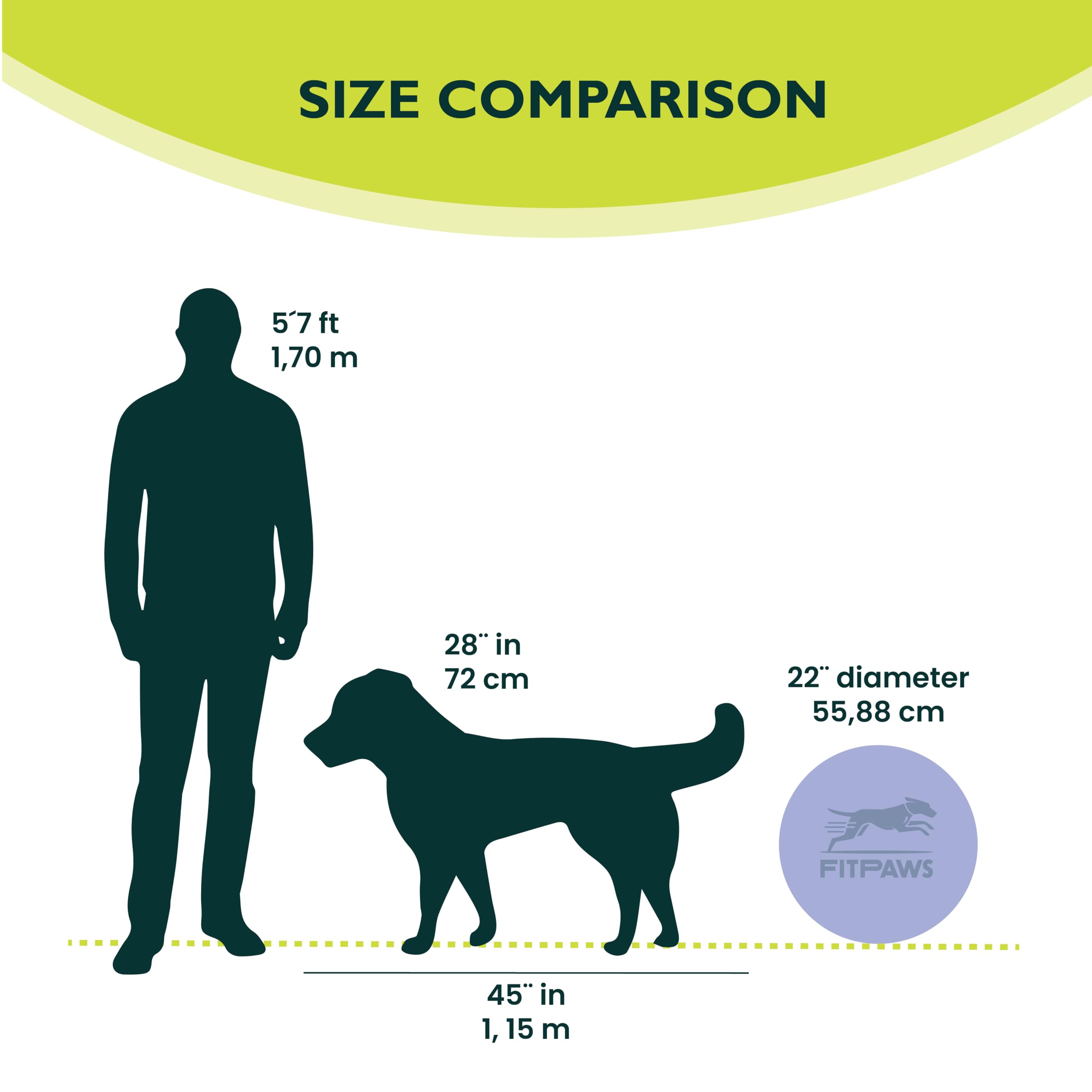 FitPAWS Balance Disc 22-inch blue recommended by trainers for canine rehab routines.