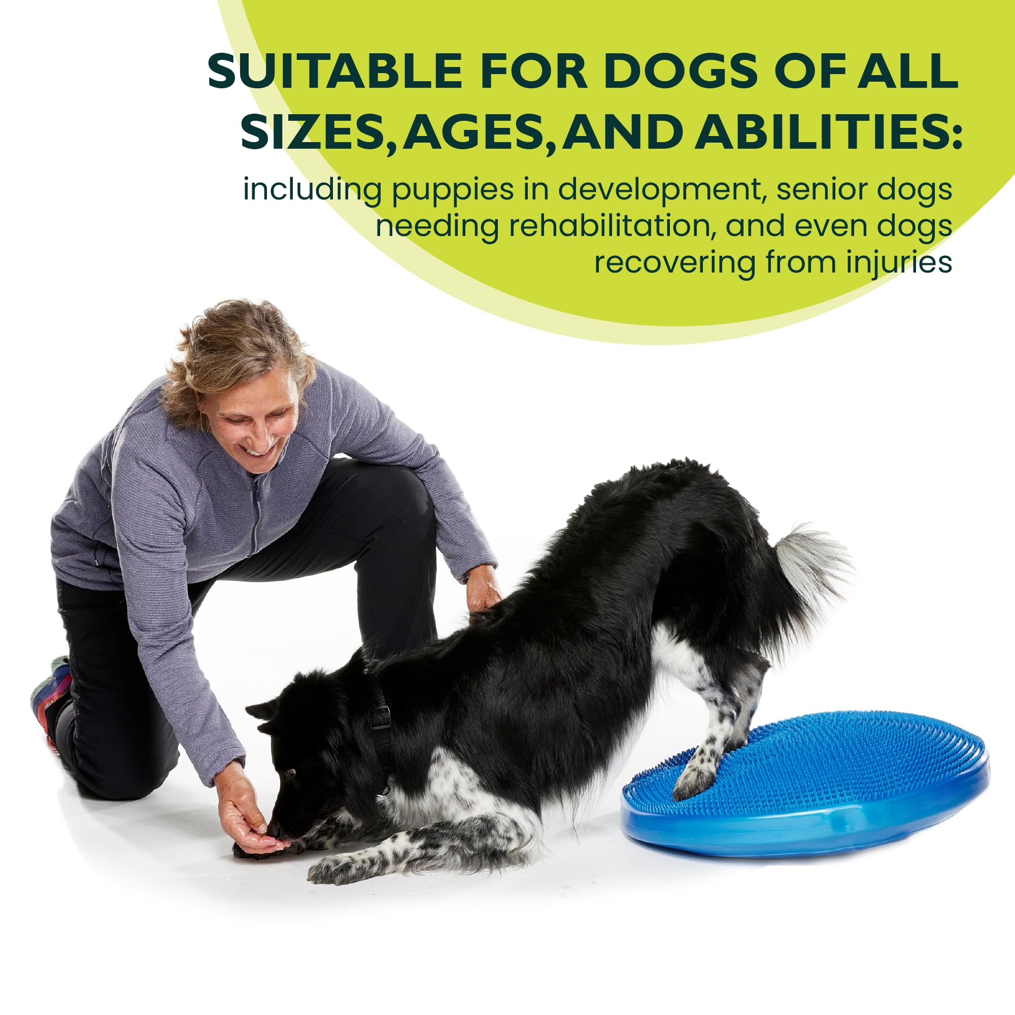 FitPAWS Balance Disc 22-inch blue pump-included for adjustable training challenge.