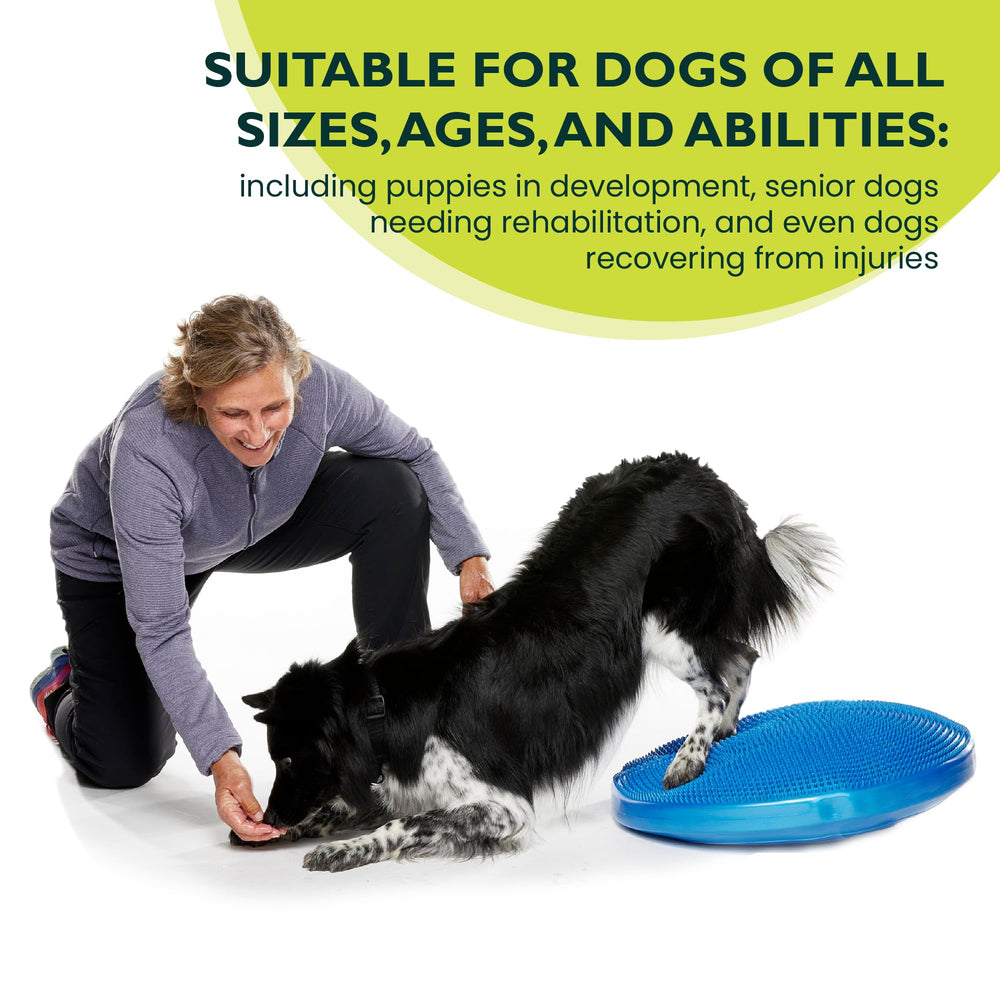 FitPAWS Balance Disc 22-inch blue pump-included for adjustable training challenge.