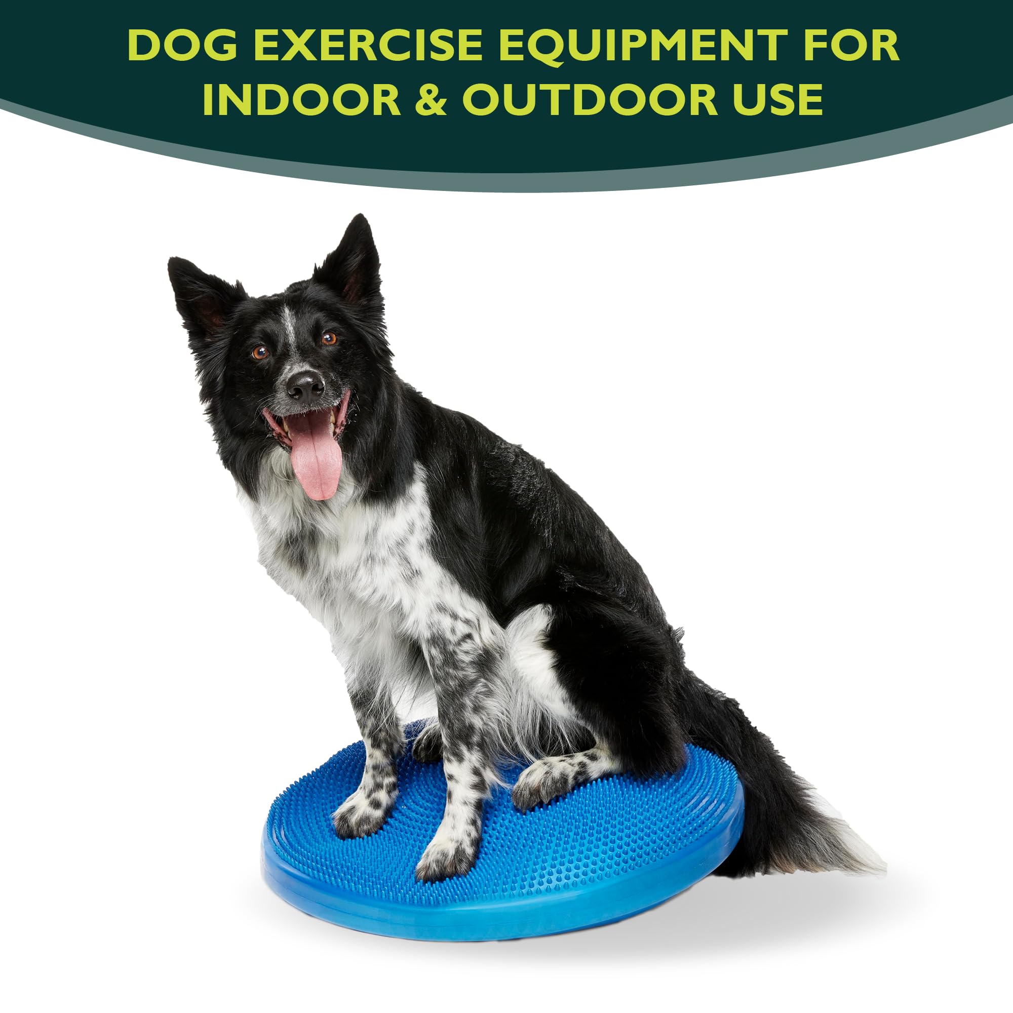 FitPAWS Balance Disc 22-inch blue side view highlighting balance training in action.