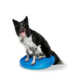 FitPAWS Balance Disc 22-inch blue top view showing the inflatable training platform for dog workouts.