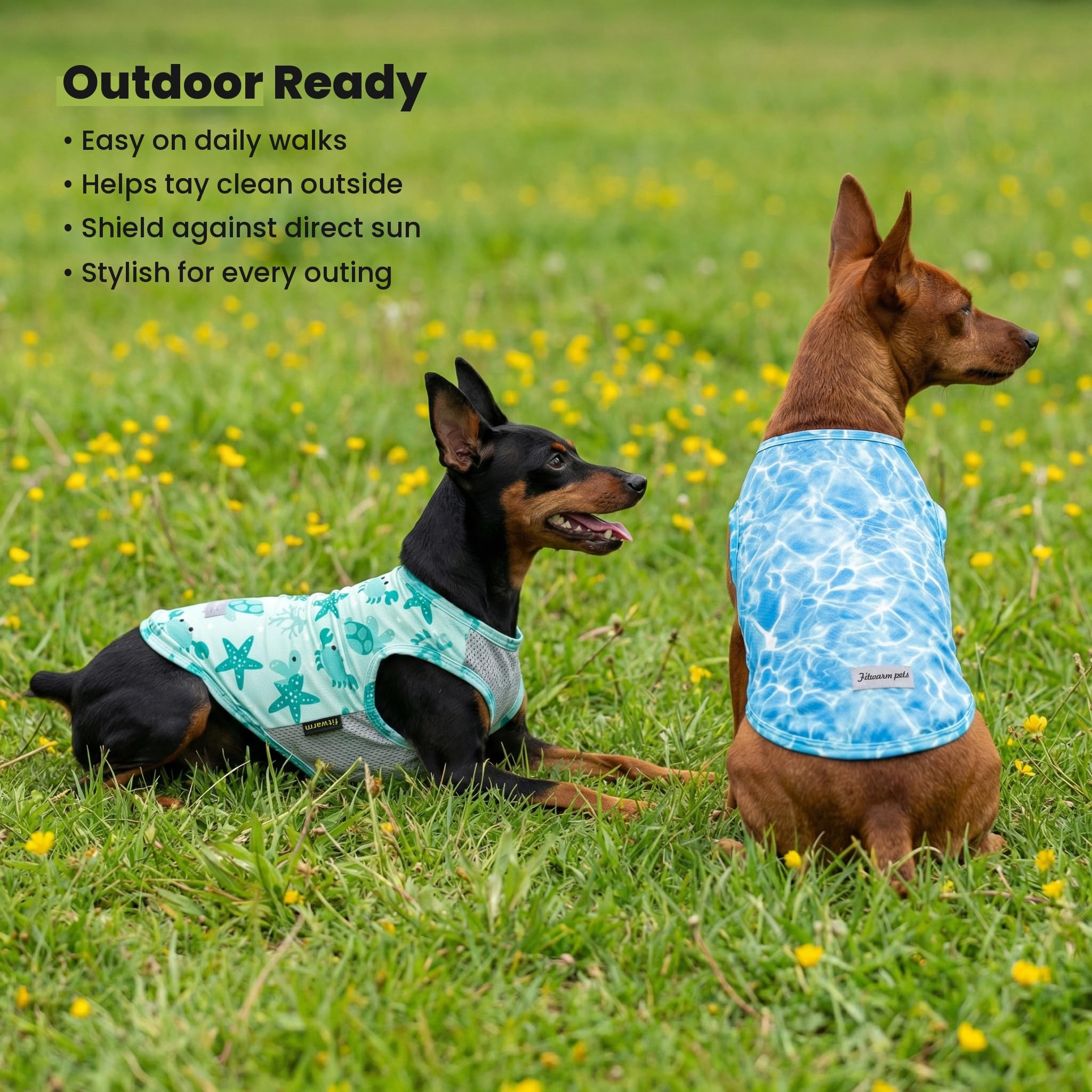 Fitwarm beach-ready dog shirt on photoshoot, cute and protected