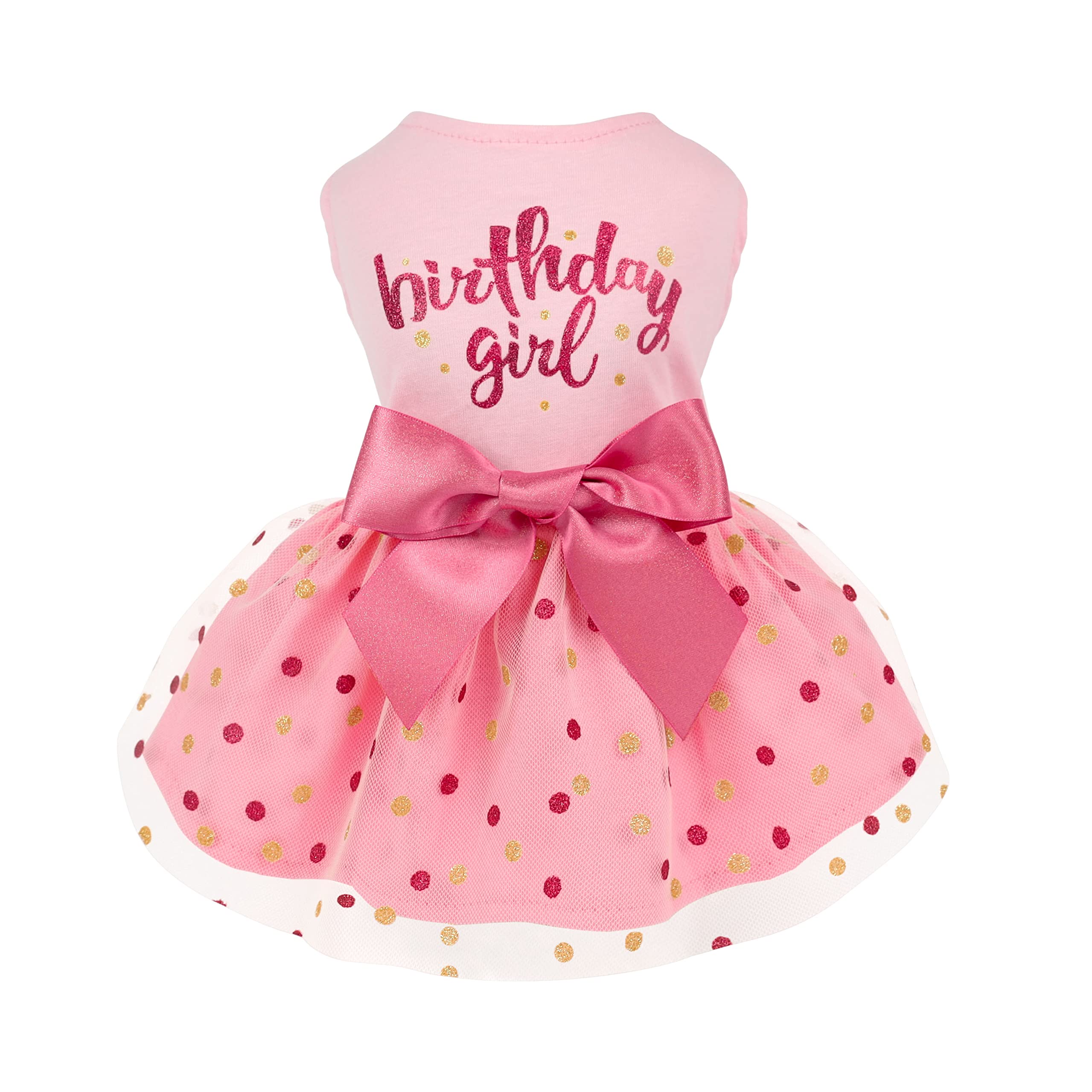 Fitwarm Birthday Girl Dress front view on a small dog, festive pink look.