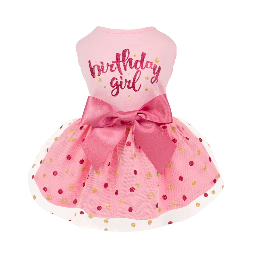 Fitwarm Birthday Girl Dress front view on a small dog, festive pink look.