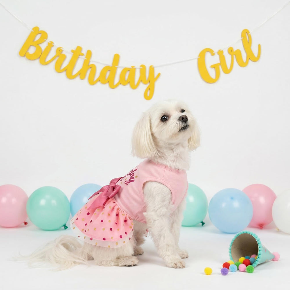 Fitwarm Birthday Girl Dress party-ready for photoshoots.