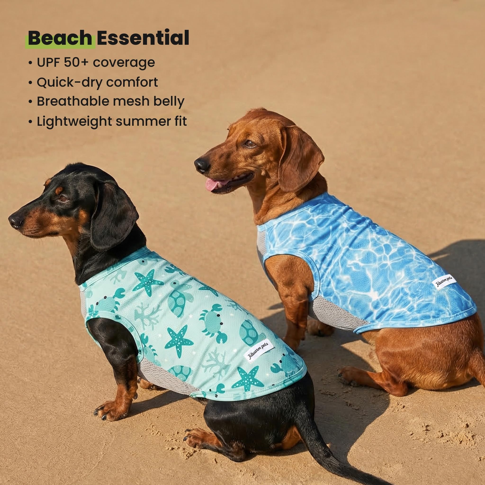 Fitwarm dog shirt worn during walk for sunny day adventures