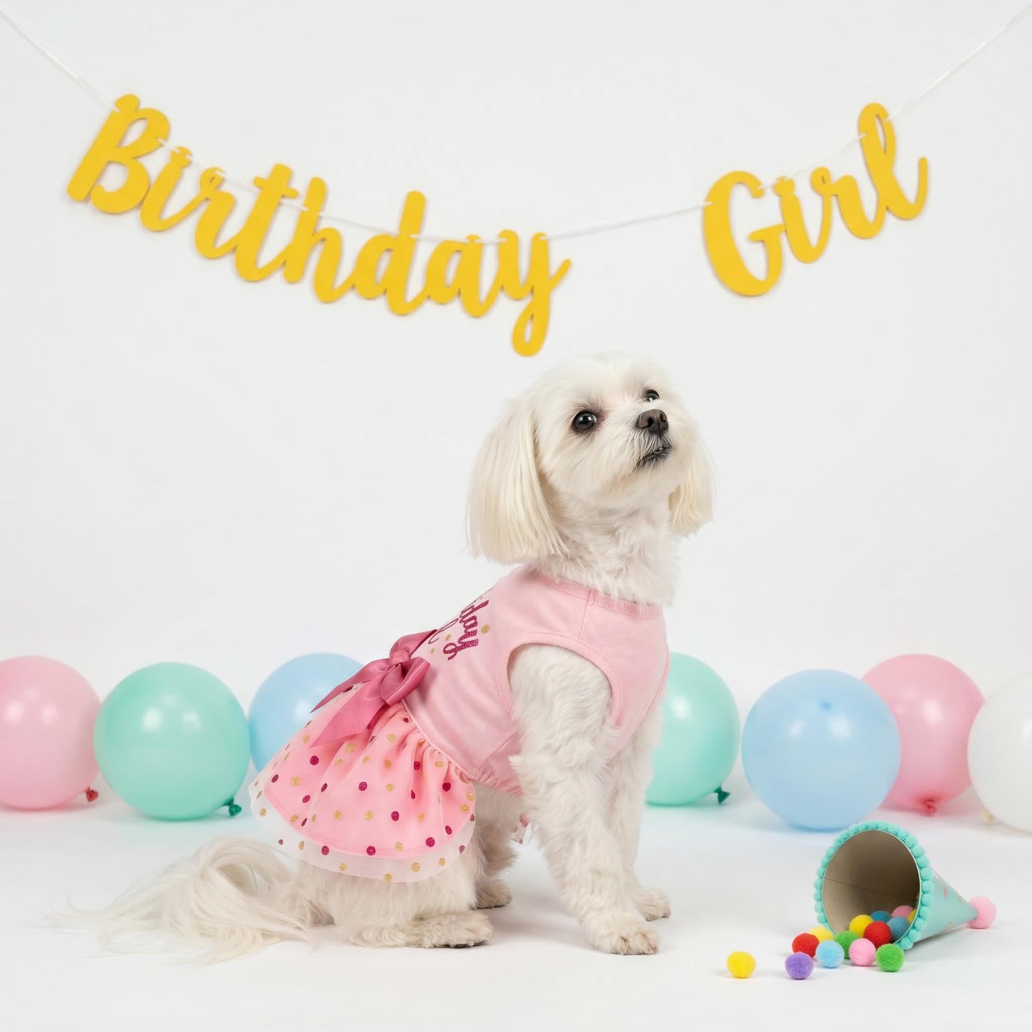 Fitwarm party photoshoot-ready dress for dogs and cats.