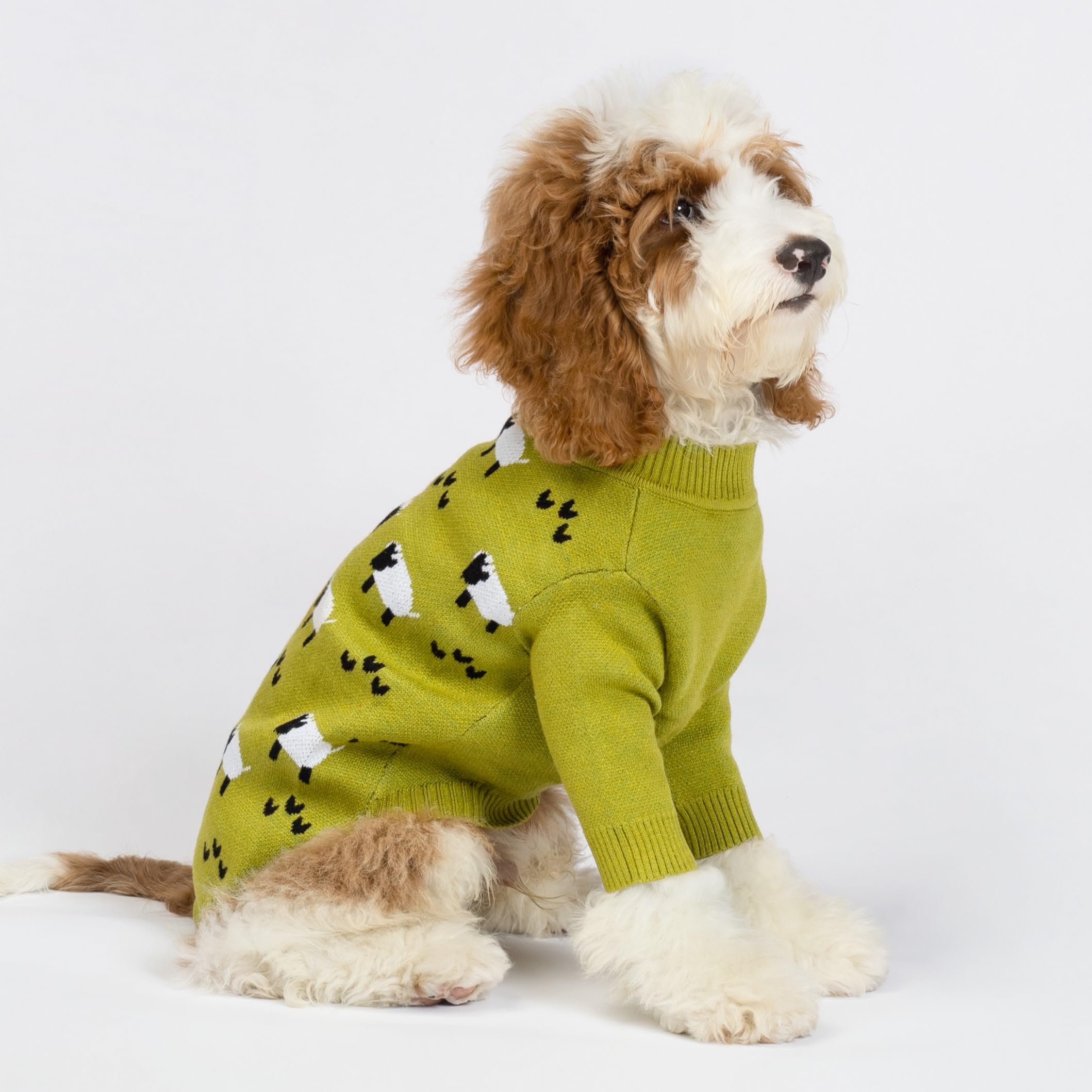 Fitwarm sheep sweater back view highlighting snug fit for small dogs.