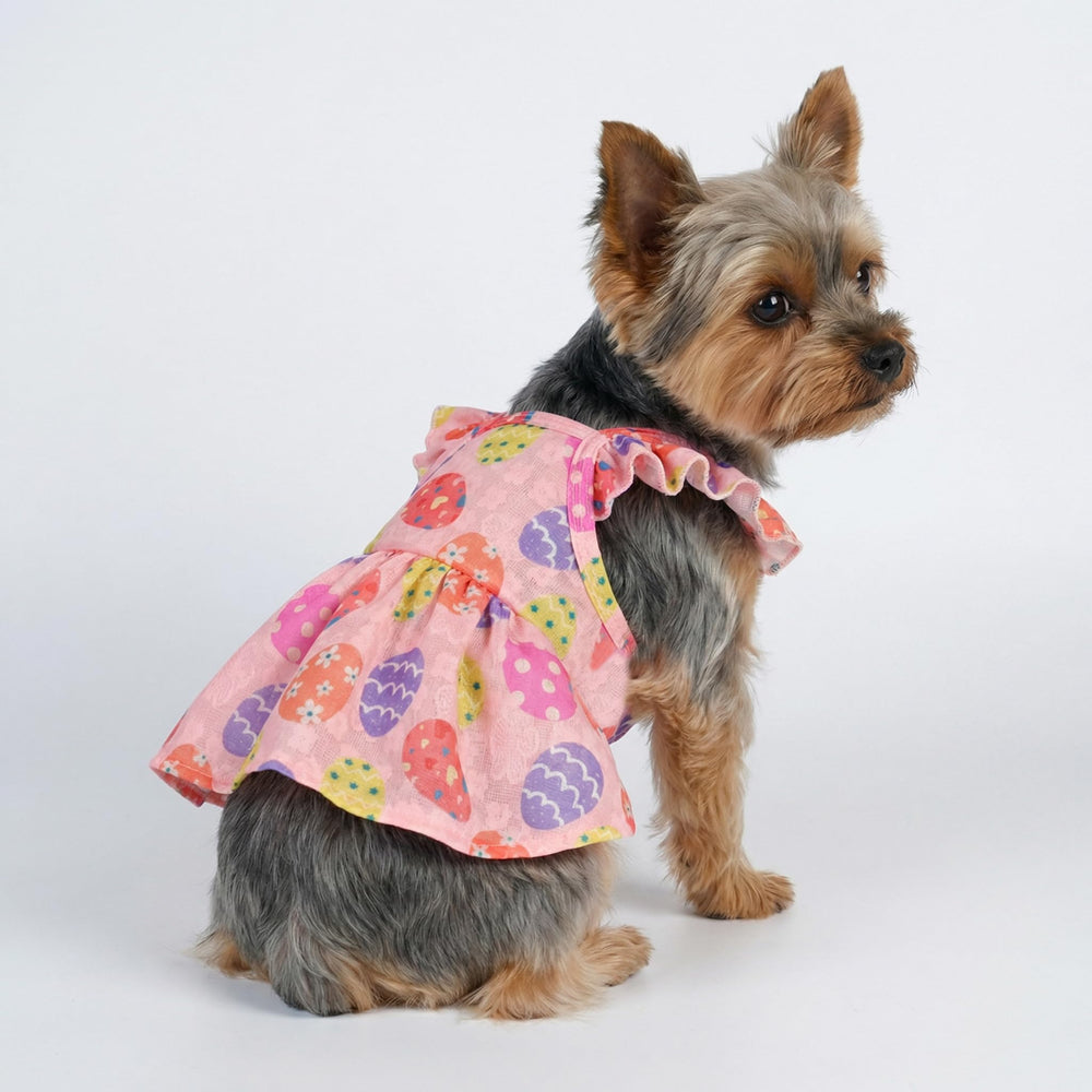 Fitwarm small-dog dress with 14-inch back and 16-inch chest offers comfortable fit.