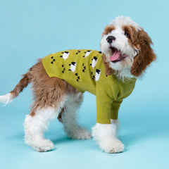 Fitwarm small-dog olive-green sweater worn during a winter walk.