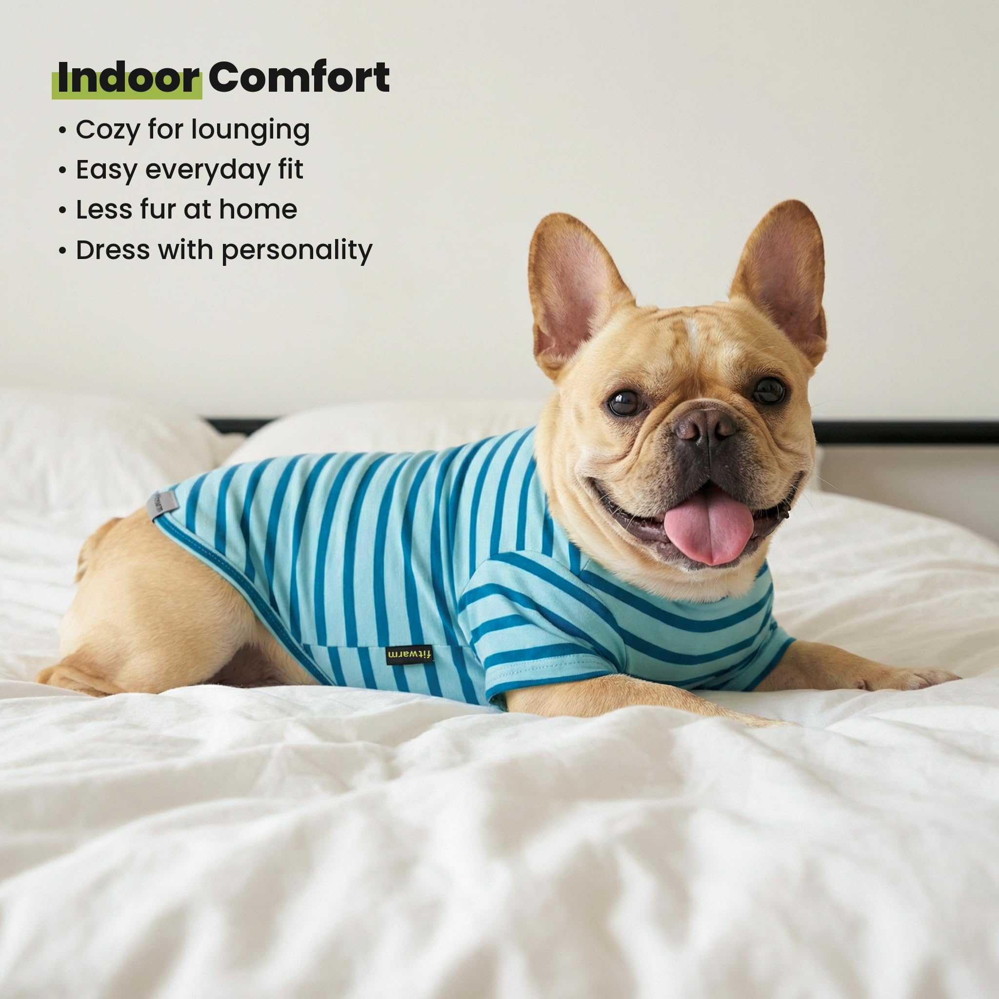 Fitwarm small dog color block detail for petite breeds