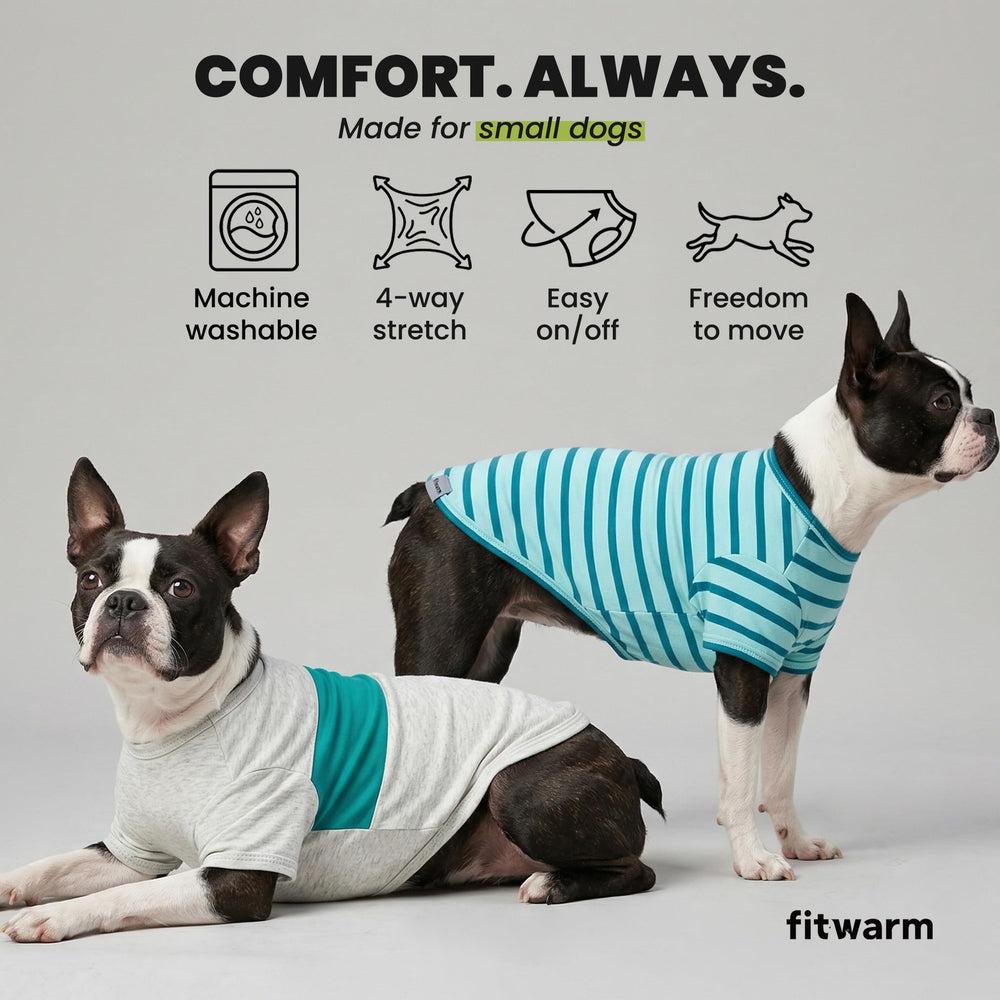Fitwarm summer-ready dog shirt suitable for beach outings