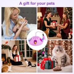 FITWOWFIT indoor cat enrichment toy in purple keeps multi-cat households engaged.