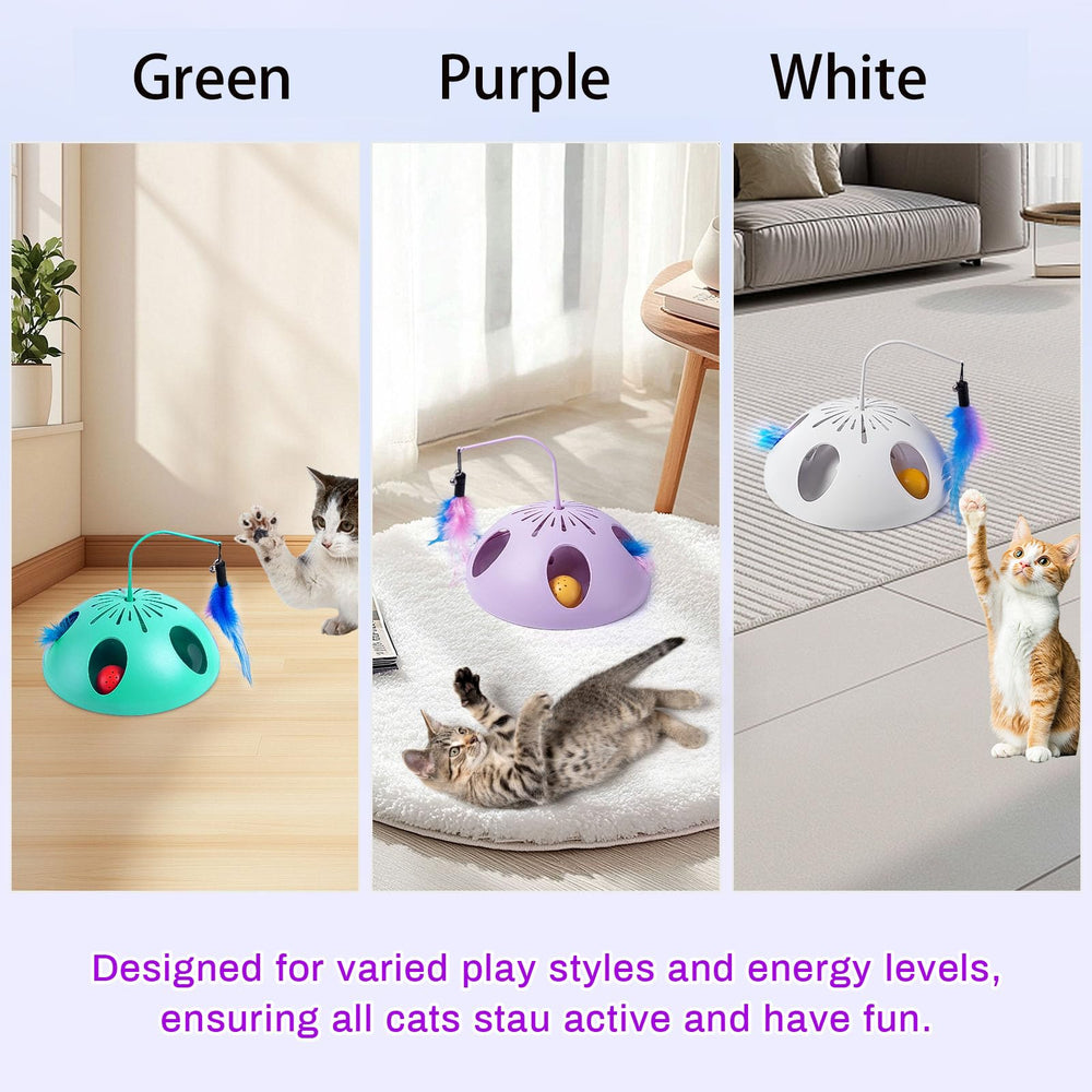 FITWOWFIT quiet motor supports gentle play for timid cats