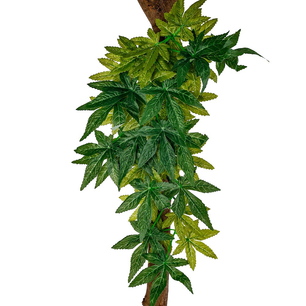 FiveBull suction cups attach reptile plants securely to glass surfaces.