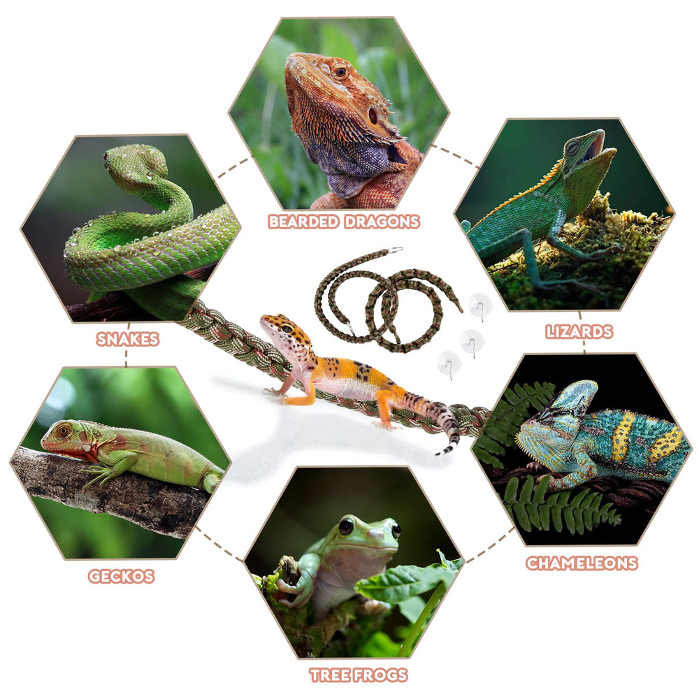 FiveBull reptile vines tank decoration adds color and texture.