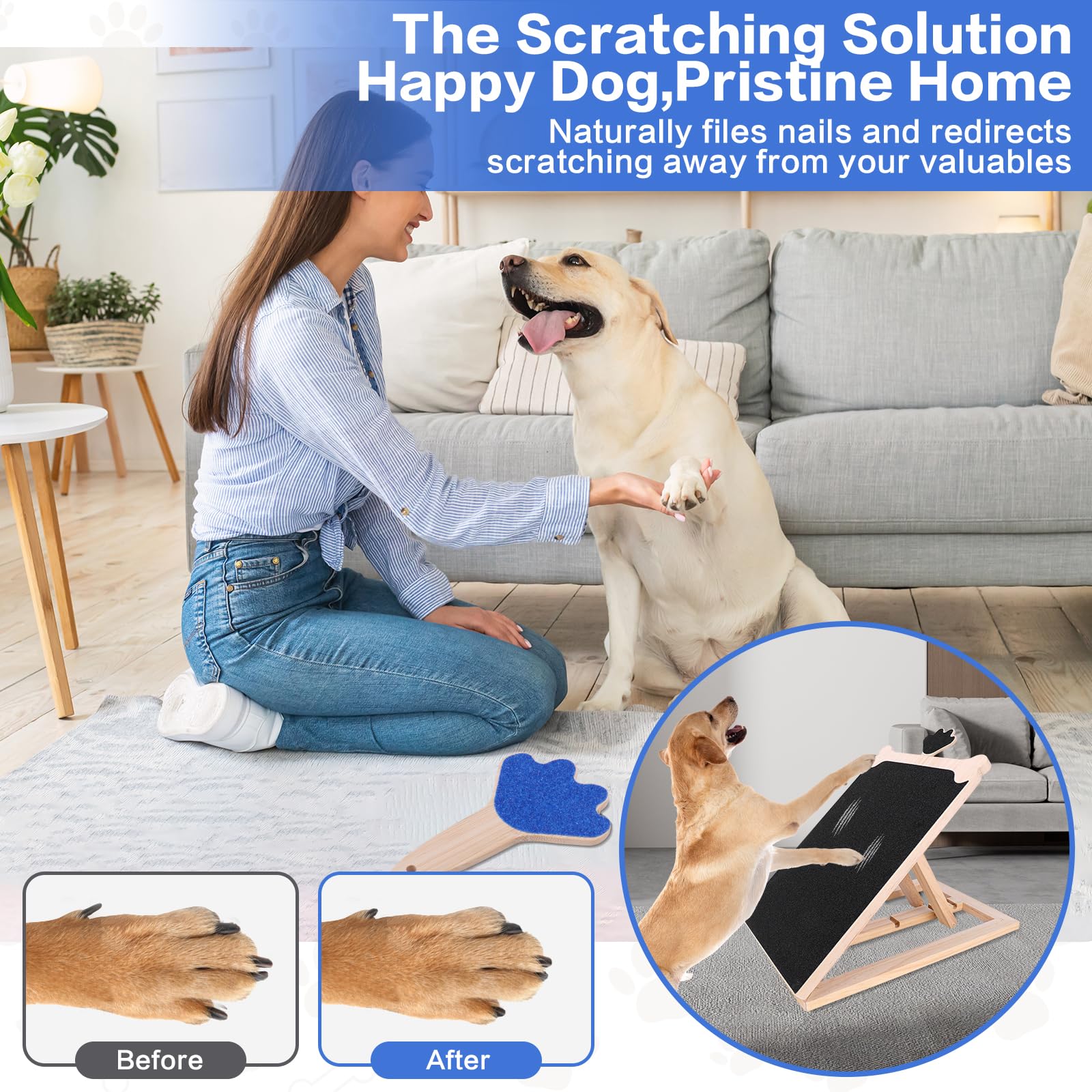 FL Falatier quiet nail care design for calm grooming sessions