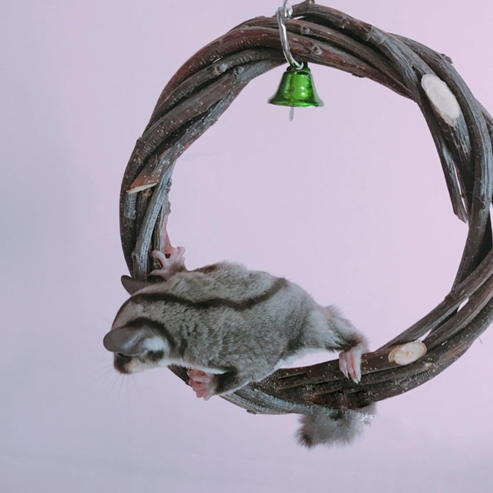 FLAdorepet sugar glider easy-installation image shows secure setup