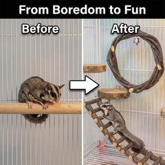 FLAdorepet sugar glider ladder toy encourages climbing and exploration