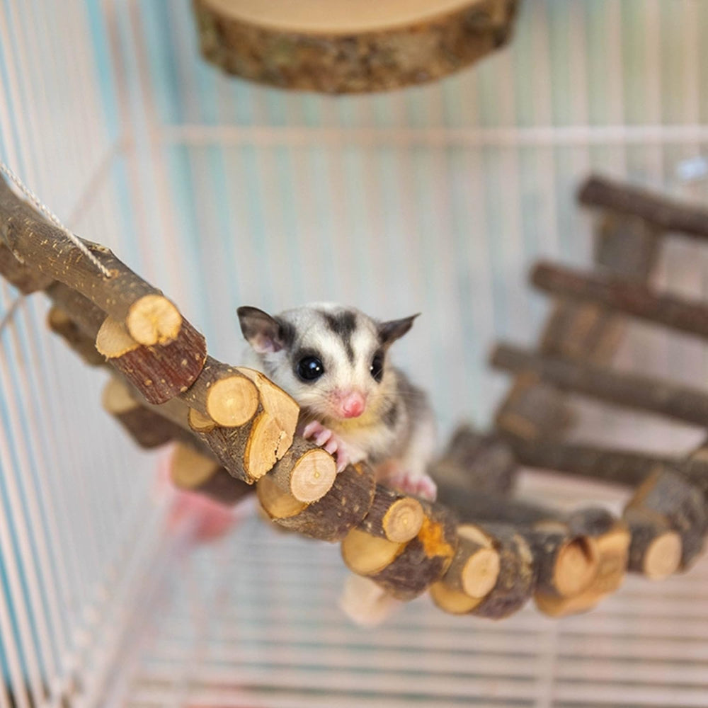 FLAdorepet sugar glider nature-inspired design enriches small pets