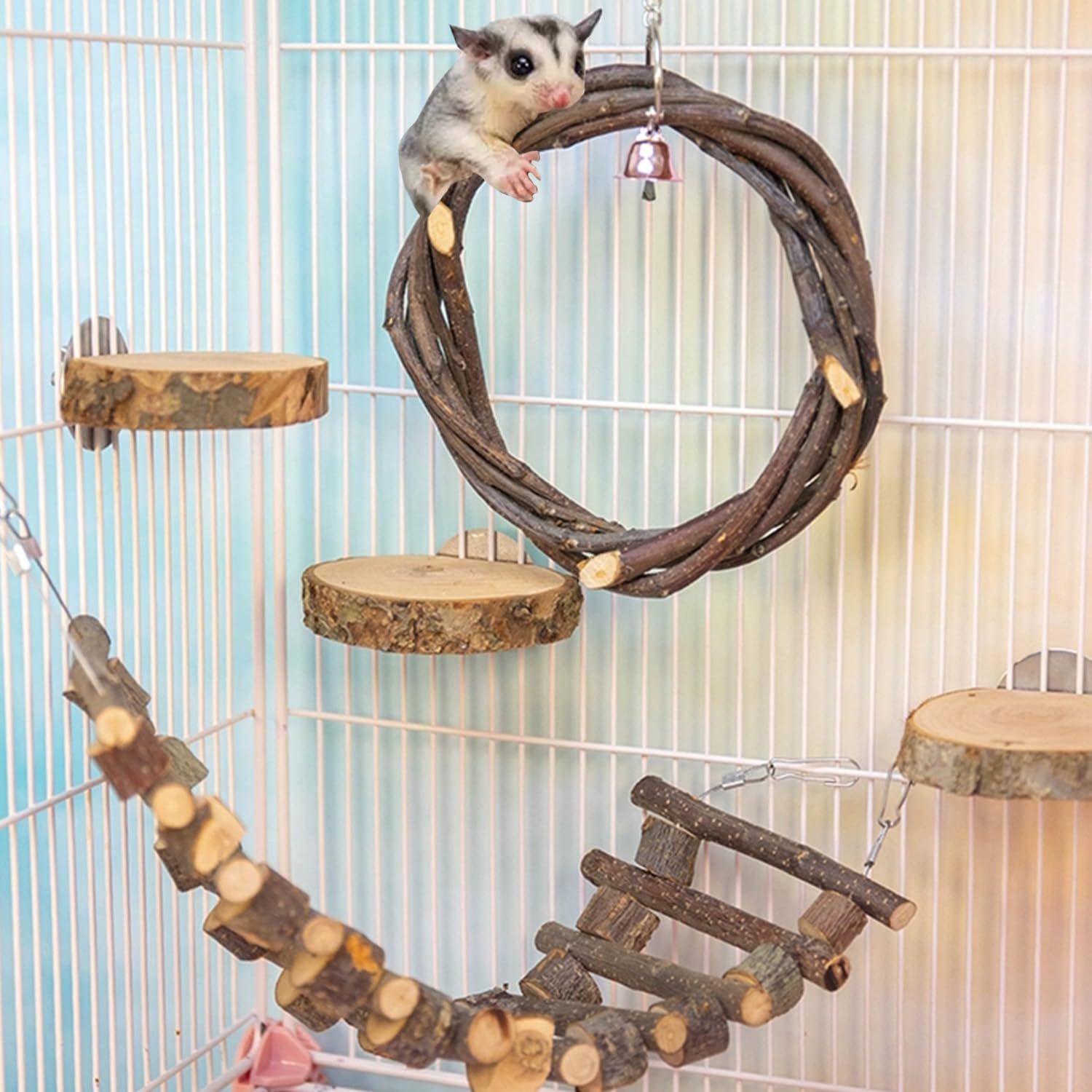 FLAdorepet sugar glider swing toy for active play and exercise
