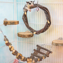 FLAdorepet sugar glider swing toy for active play and exercise