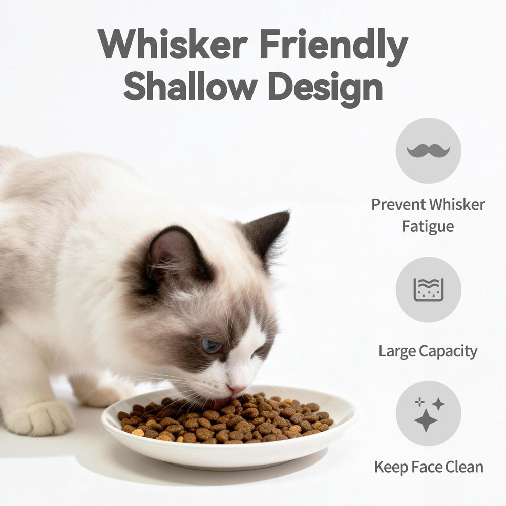 FlaggeZG stylish cat plates complement home decor.