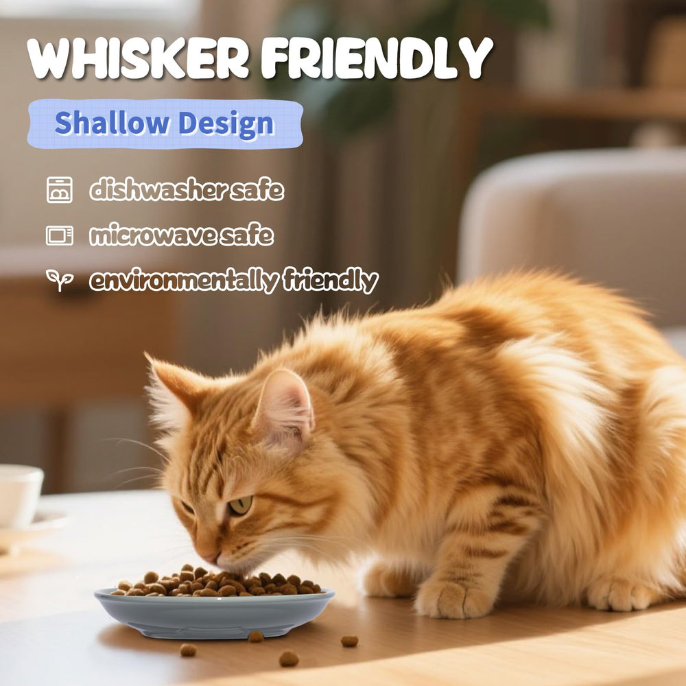 FlaggeZG colorful cat-dish set adds style to any room while feeding pets.