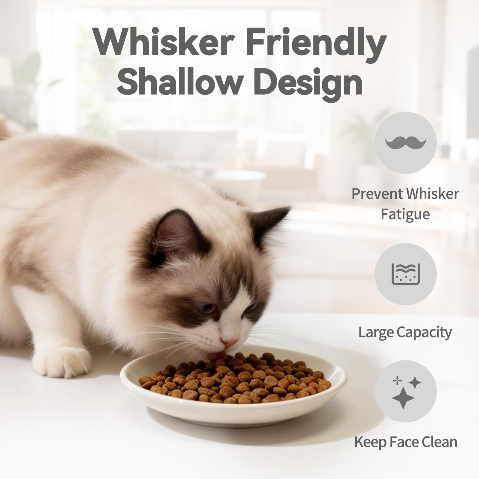 FlaggeZG versatile cat plate for dry and wet food.