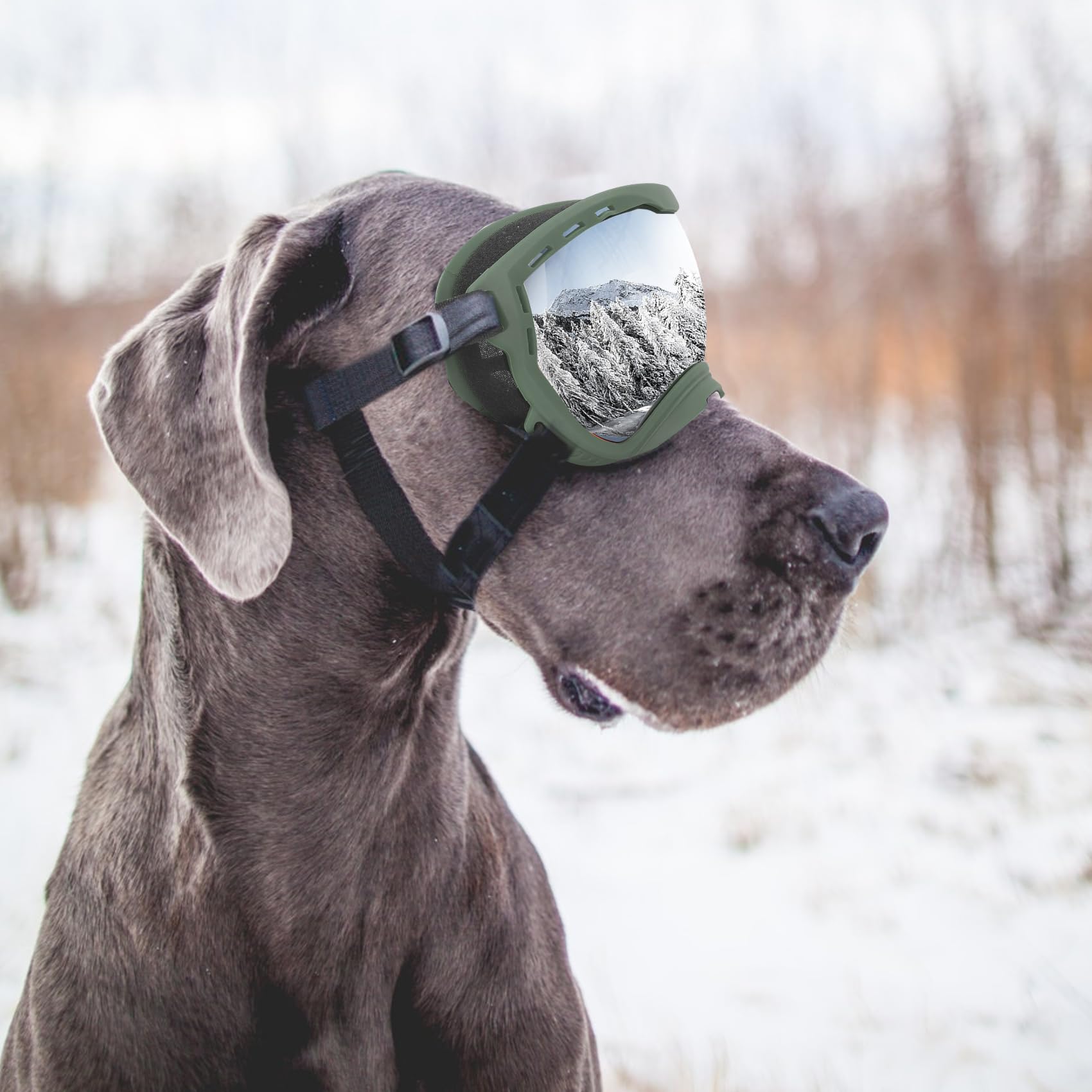 Flantor dog goggles shield eyes from wind and dust during outdoor trips