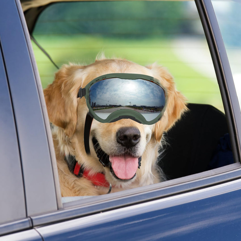 Flantor dog goggles suitable for summer and winter use for versatile protection