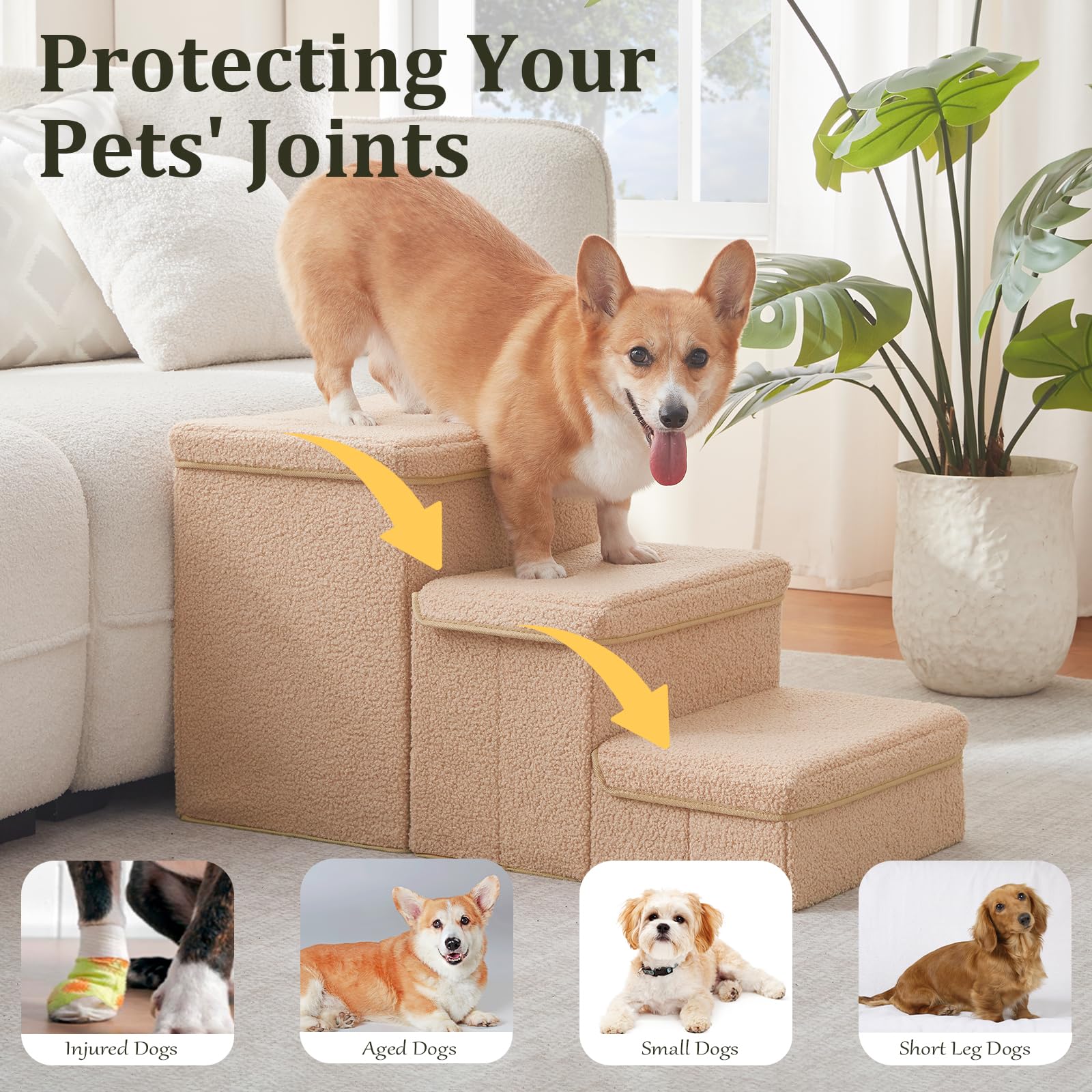 Flashing Fire dog stairs shown with assembly video for quick setup.
