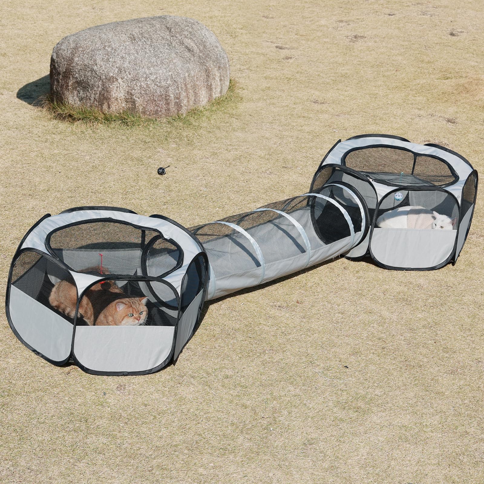 Flashing Fire outdoor cat enclosure fully set up for spacious playtime
