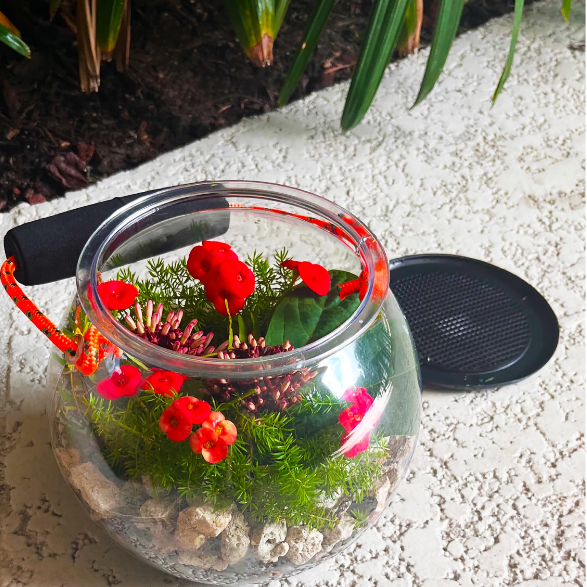 Flat River Group Dry Branch Beach Aquarium kid-friendly design for family seaside adventures