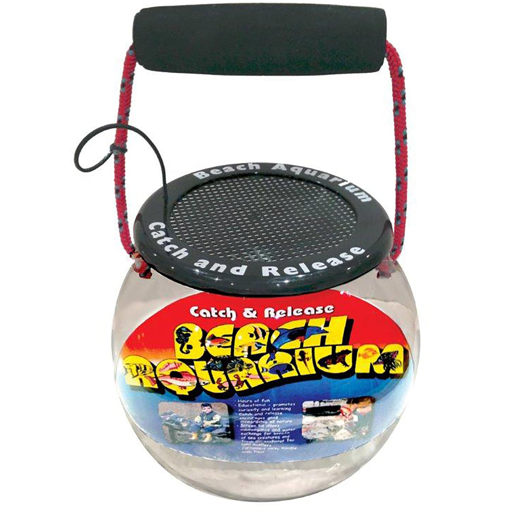 Flat River Group Dry Branch Beach Aquarium with a sturdy handle grip for easy transport on the sand