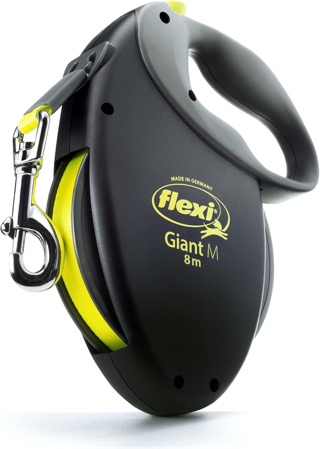Flexi Giant Tape Leash extended demonstrates long-range exploration with controlled freedom for a medium dog.