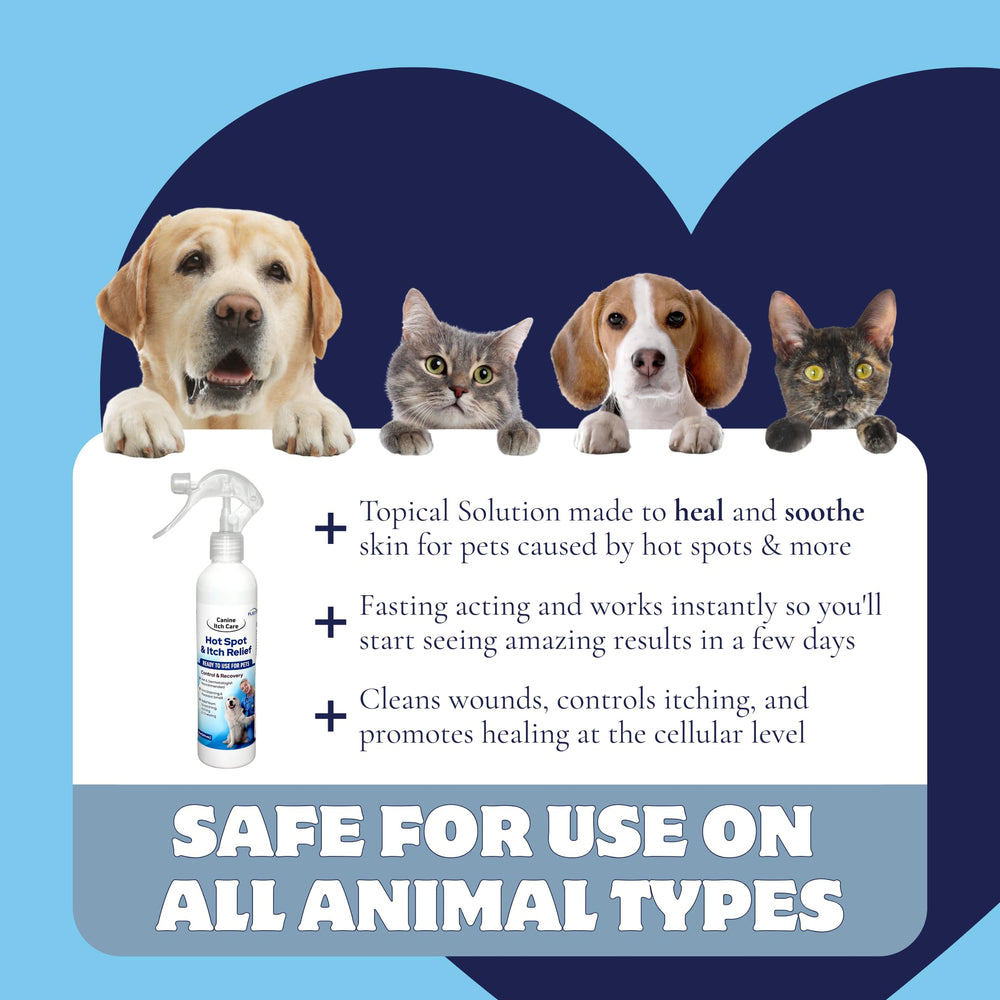 FlexTran Canine Itch Care bottle beside soothing cloth for wipe-on use.