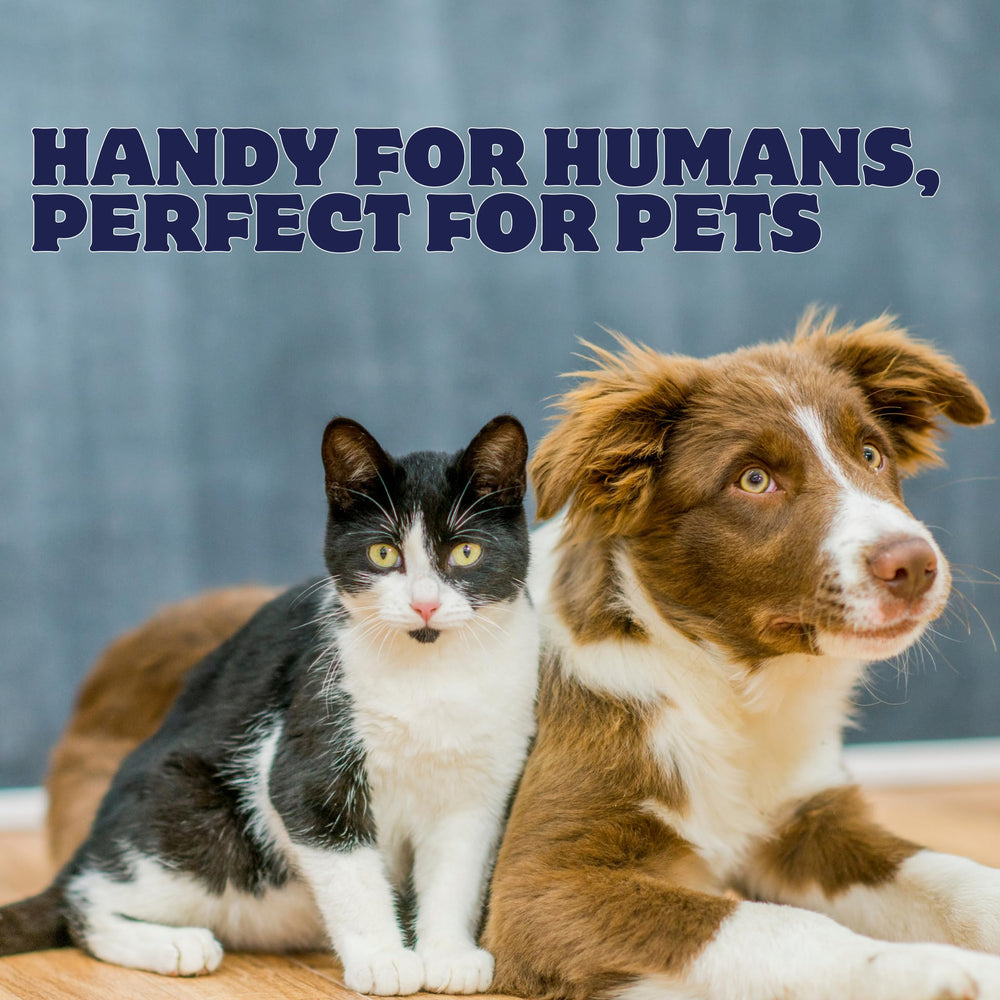 FlexTran Canine Itch Care on a clean wound area to support healing.