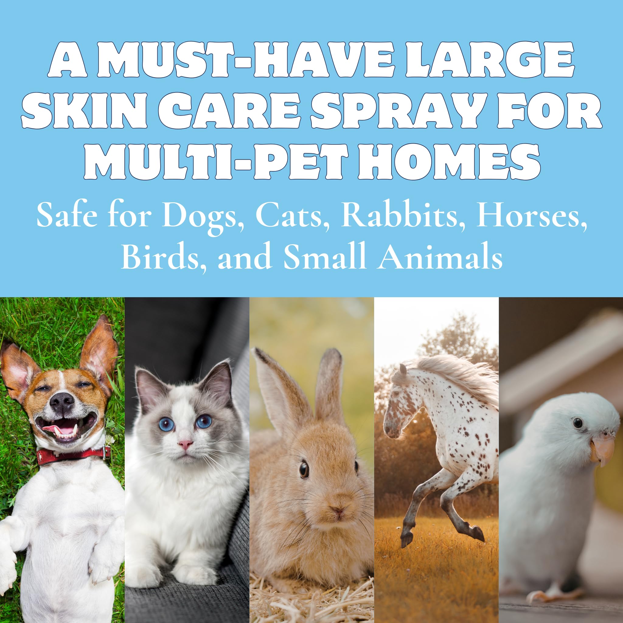 FlexTran Canine Itch Care kit displayed with dog companion.