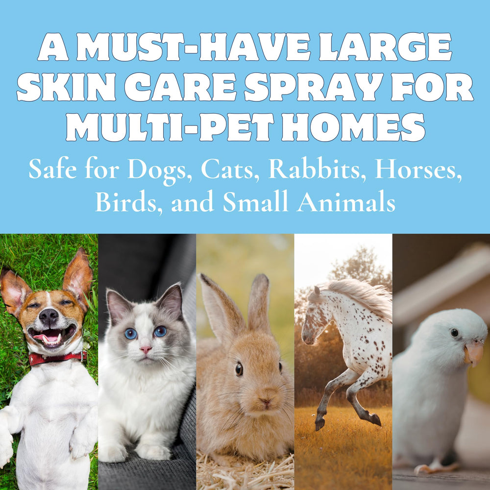 FlexTran Canine Itch Care kit displayed with dog companion.