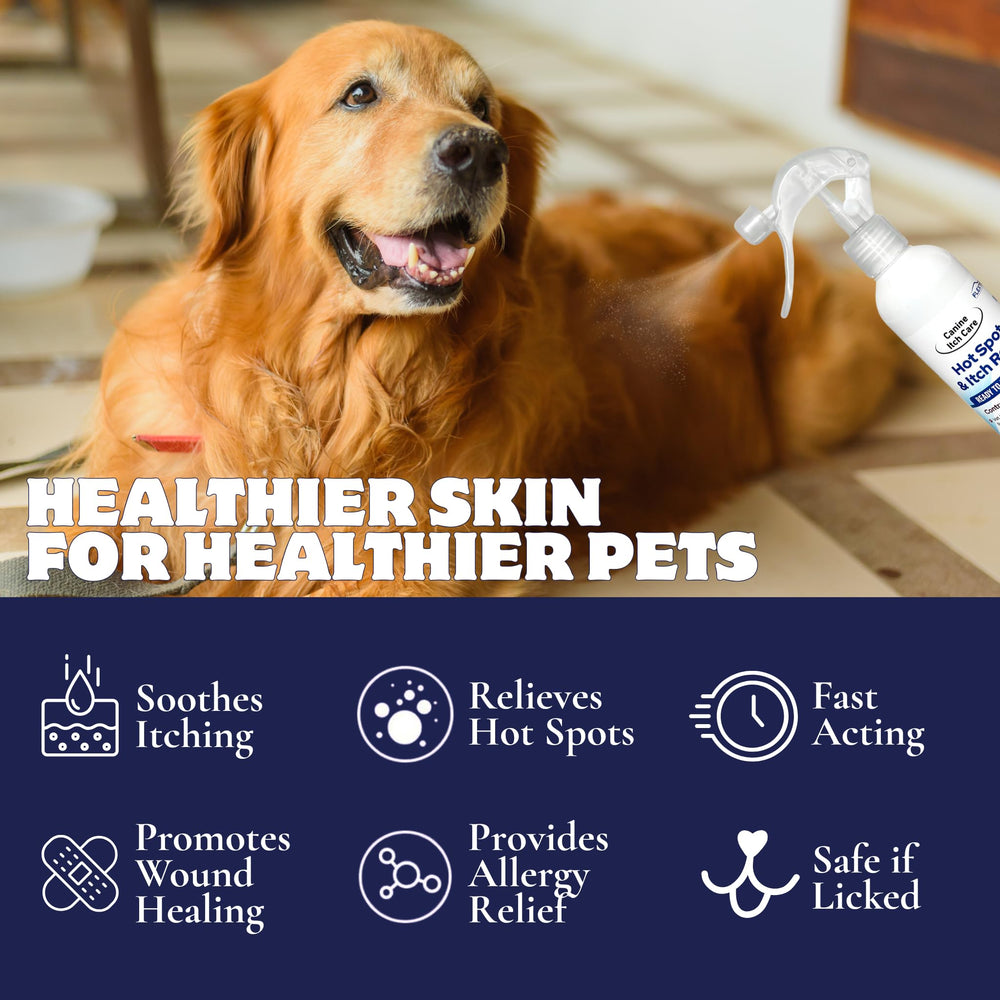 FlexTran Canine Itch Care spray being dispensed for targeted skin care.